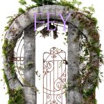 Fey Lords Book 2 by Dark Angst Publishing Kindle Edition-0