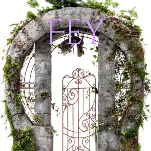 Fey Lords Book 2 by Dark Angst Publishing Kindle Edition-0