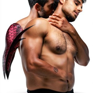 Dragon Firefighters Book 2 - Fantasy eBook Independently Published-0