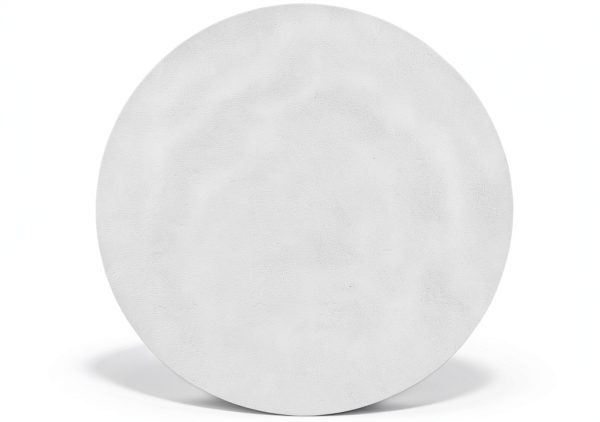 Whatman Ashless Quantitative Filter Paper 50mm 4-12µm Grade 589/2 100-0